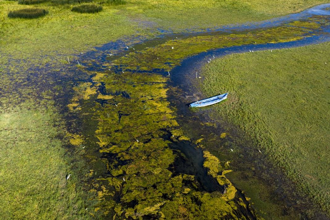 Konya’nın en büyük gölündeki büyüleyici kareler, felaketin işareti 9